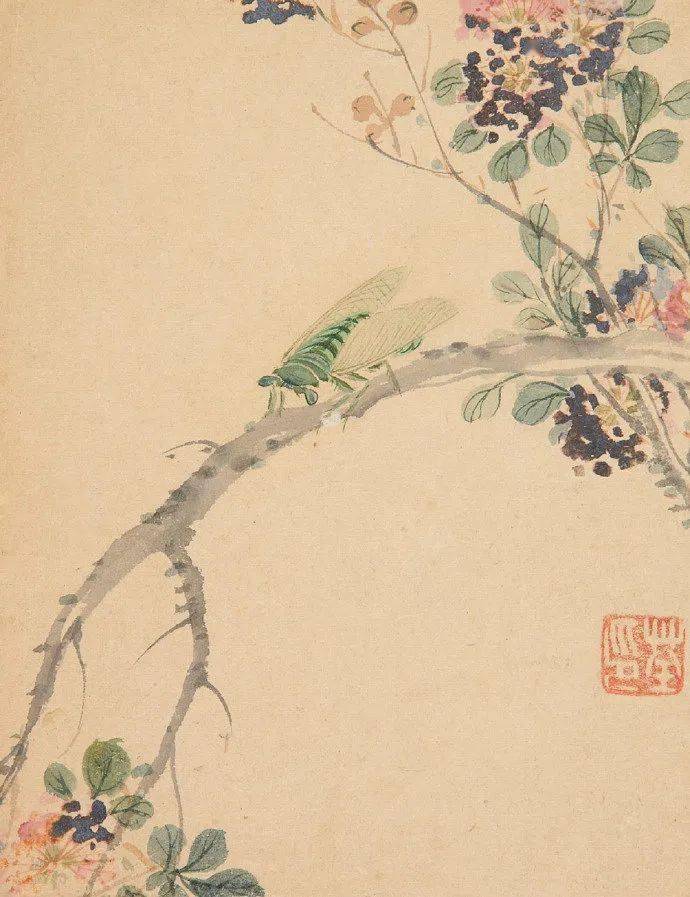 马荃:花鸟虫草图册_国画_江香_花卉