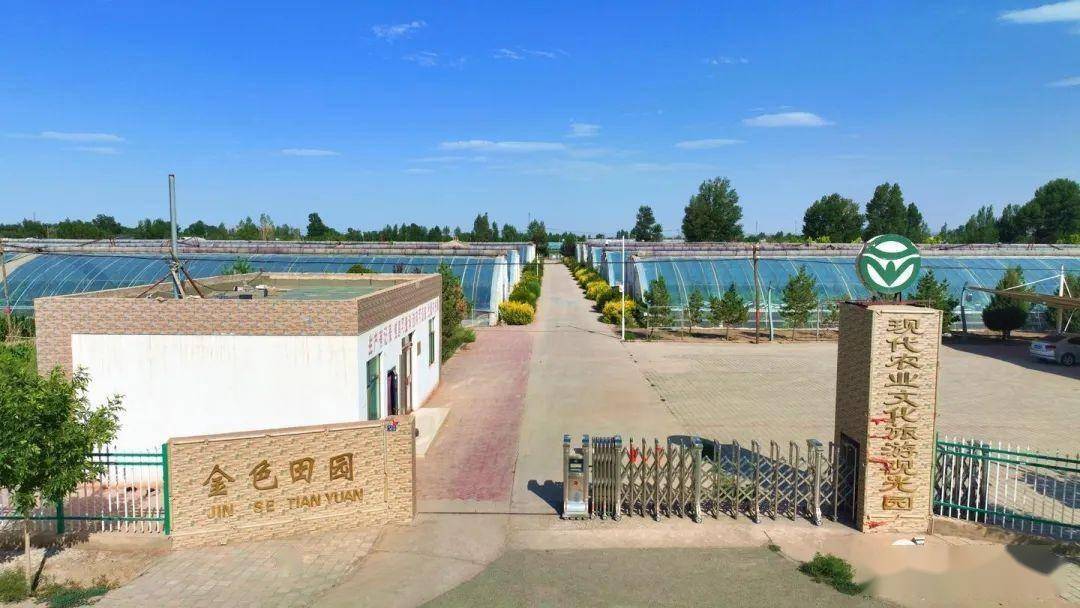 这些天,金塔县金塔镇金色田园的大棚葡萄陆续成熟,迎来众多游客前来