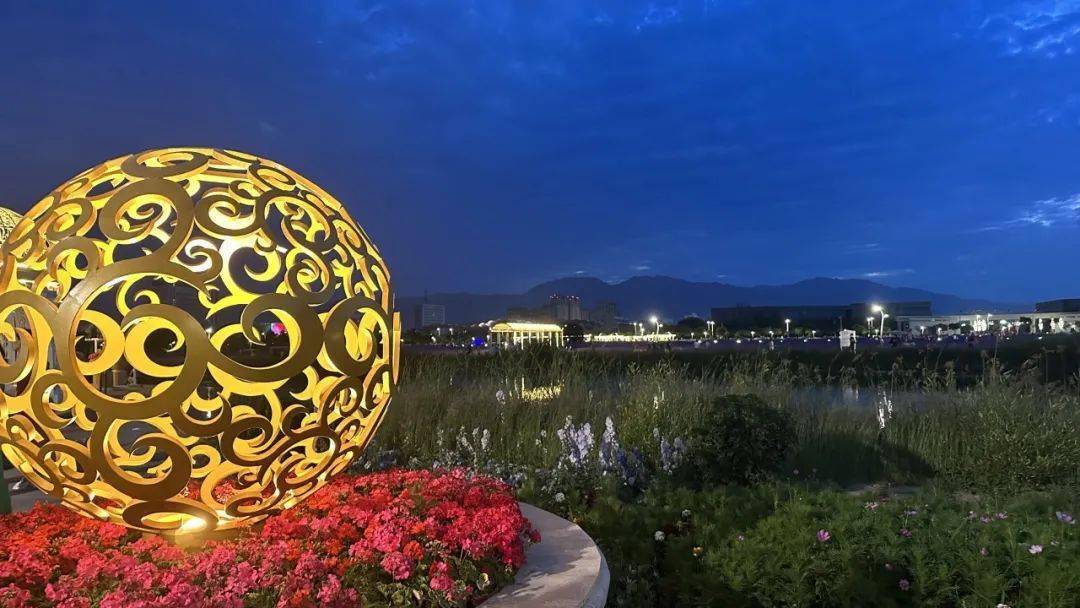 一起去紫金花海,感受金昌夏日夜晚的浪漫~_烧烤_夏天_孩子