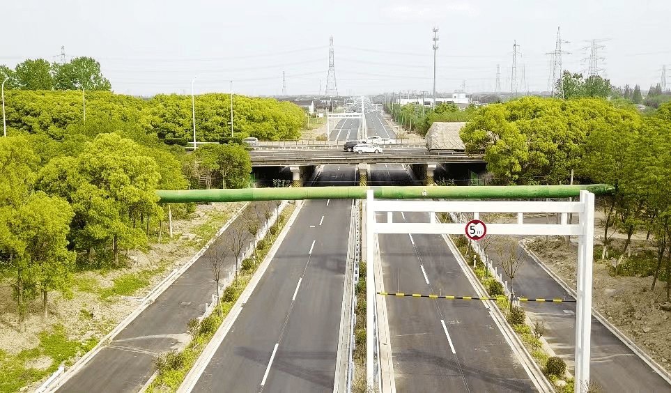 扬子江大道改扩建工程,进度上新!_施工_公路_项目