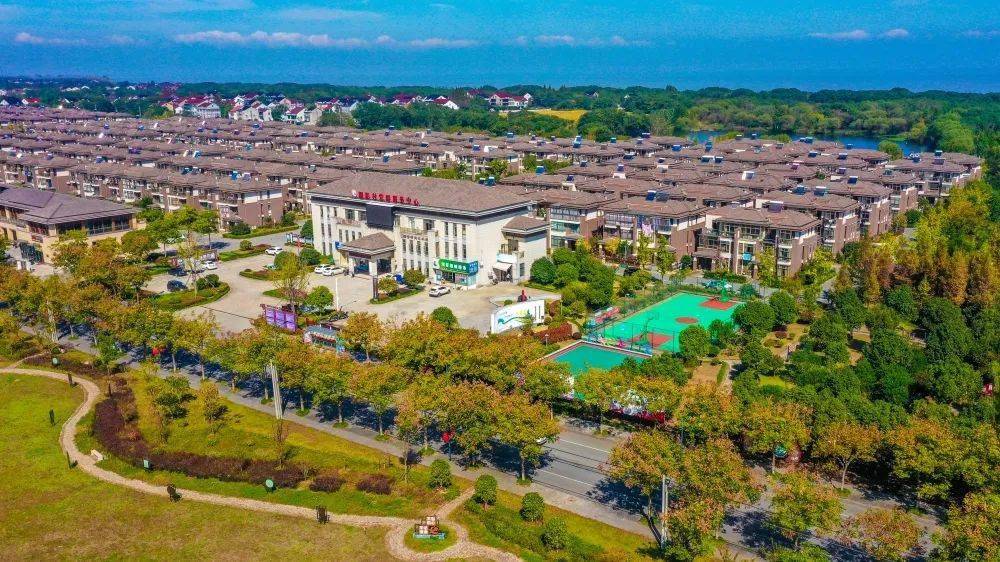 久久为功 履职不歇 看太湖之滨这个小村的富美"蝶变"_顾琪辉_图影村