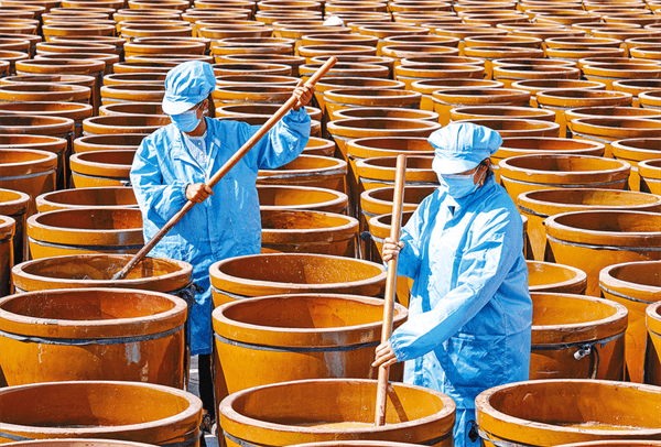 驻马店市正阳县:晒醋酿制忙_摄影_陈醋_见习