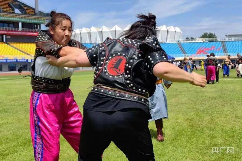 搏克,押加项目精彩纷呈 内蒙古少数民族传统体育赛事正酣_比赛_蒙古族