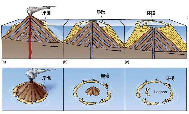 黄河调水调沙 高考地理中的珊瑚礁!