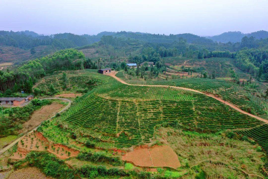好吃好耍在"嘉"乡 | 100元玩转茅桥镇_市中区_时间_乐山