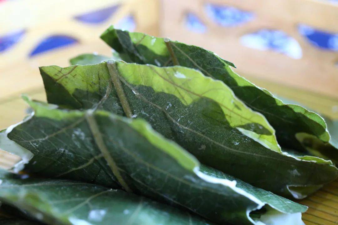 昌黎_皮影戏_称号