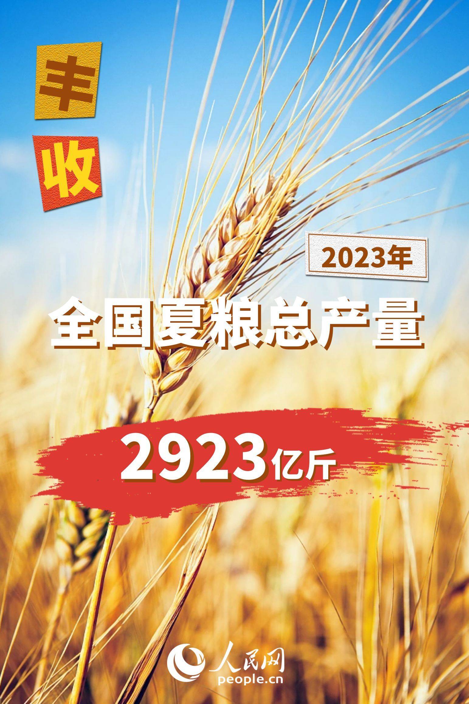 2023年全国夏粮总产量14613万吨 实现丰收_小麦_影响_生产的