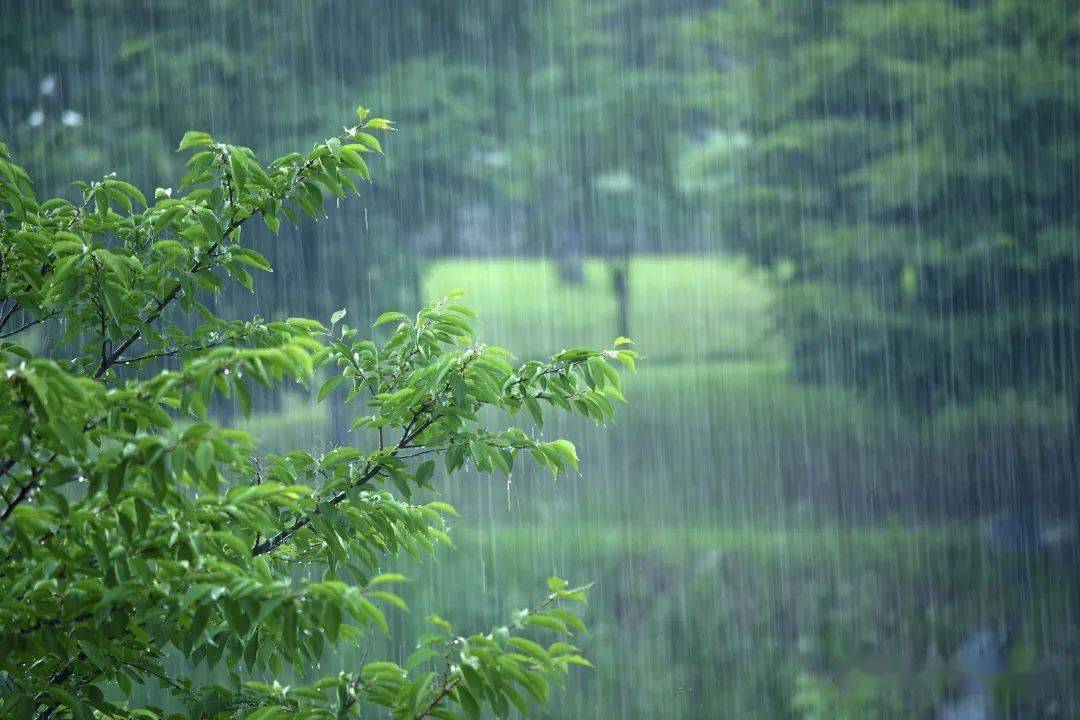 西边日出东边雨