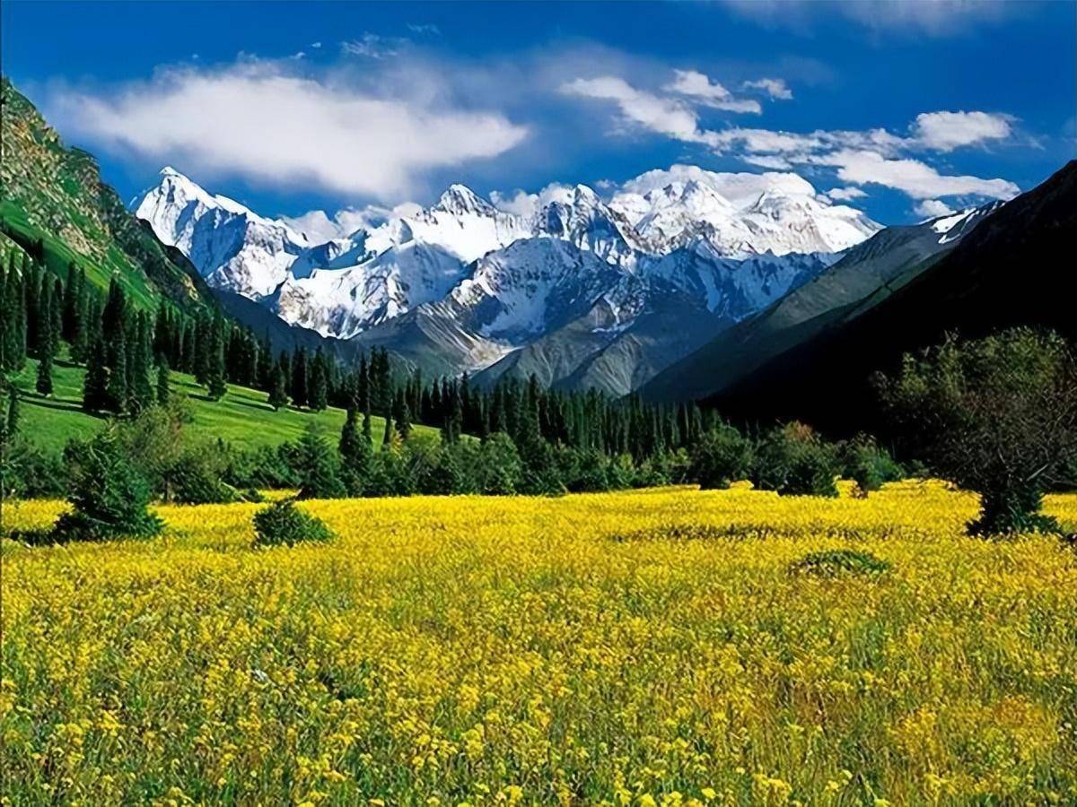 新疆伊犁的秋天_草原_中国_美景