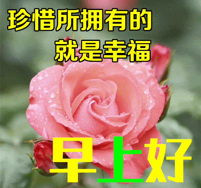问候早安的句子_人生感悟_生活态度