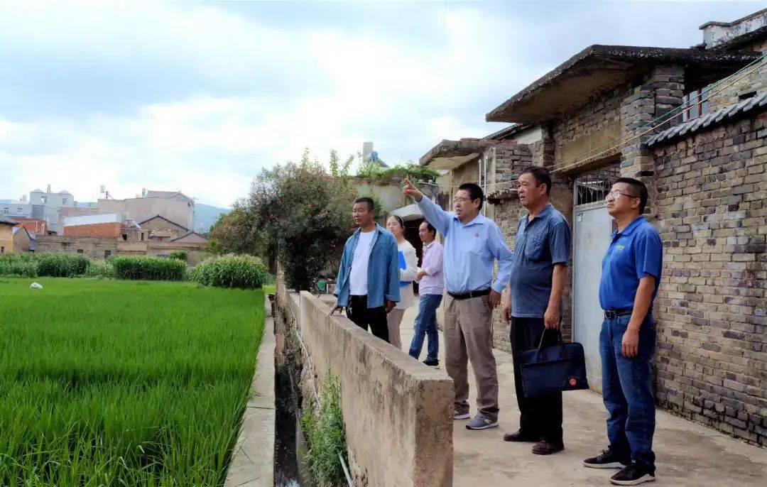 【乡村振兴】陆良马街镇:"跨村任职"盘活基层人力资源_工作_建设_潘刚