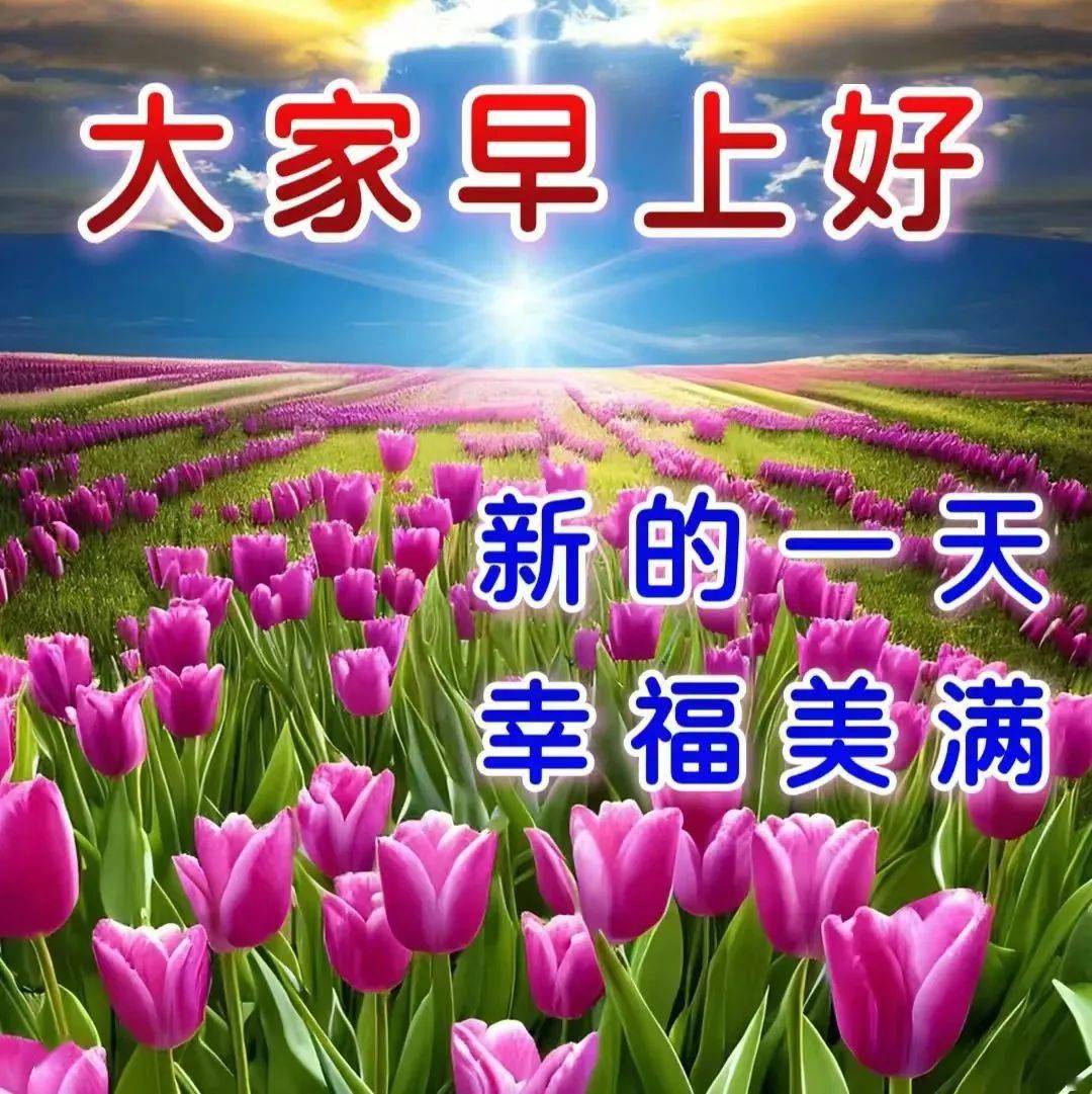人生感悟_生活态度_问候早安的句子