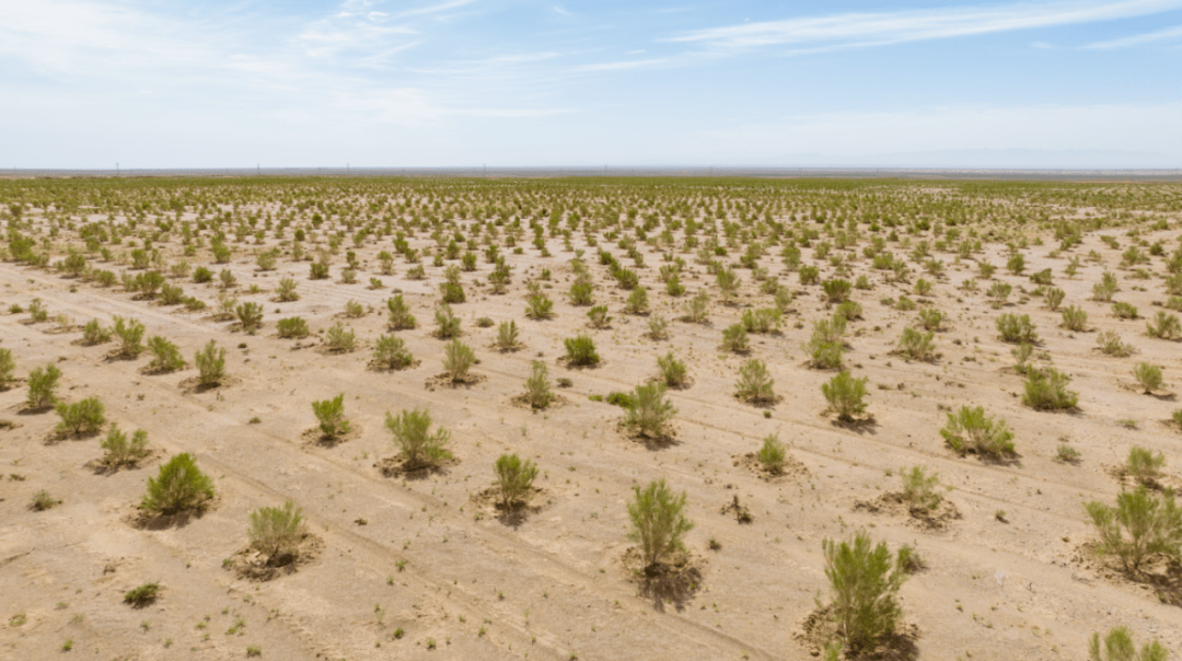 然而车子一开进阿拉善左旗巴彦乌拉嘎查的地界,视线就变得清朗起来.