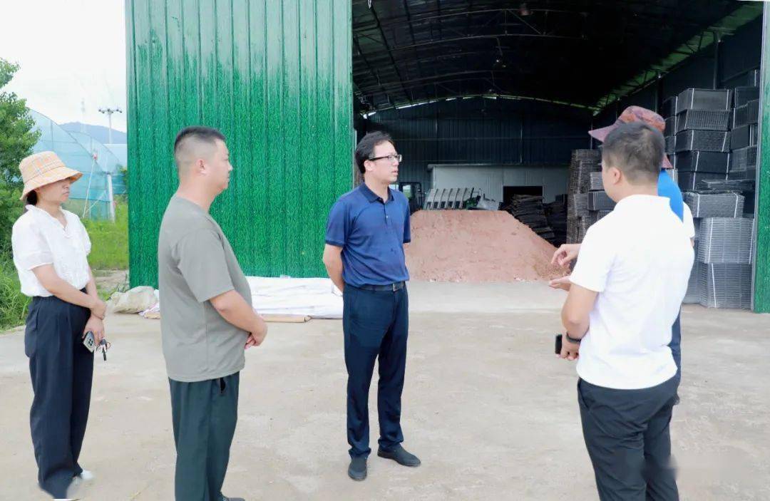 曾平深入一线调研乡村振兴等工作_发展_全南县_产业