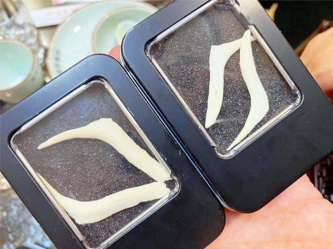 以主打甲鱼,湘菜为特色的美食!边聚餐边谈老情怀_店里_杂谈_菜肴