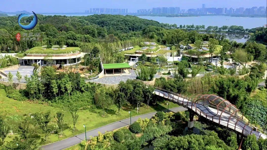 来源:综合自岳阳南湖新区,@自娱自乐_自愈自乐编审