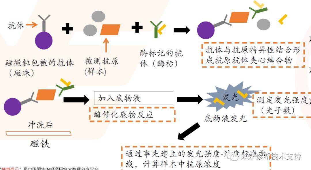 化学发光原理解析:以酶促法(一步法)为例化学发光步骤繁多.