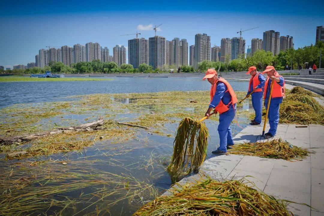 汾河水面宽阔,水质清澈,水草丰美,生态向好离不开生态修复治理和汾河