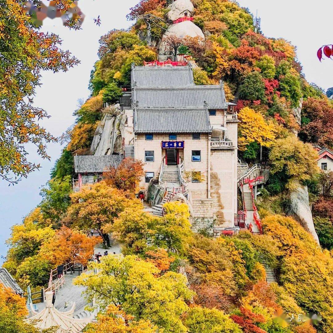 公示②|"中国魂·华山情"全国摄影大赛手机组等级奖揭晓_陕西_渭南