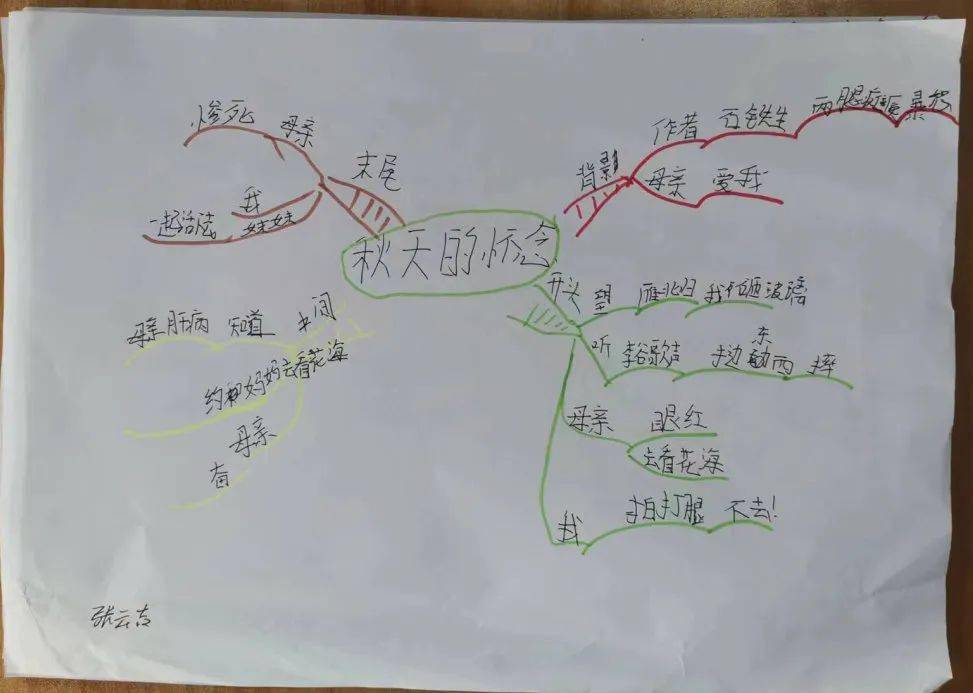 新疆的思维导图怎么画图片