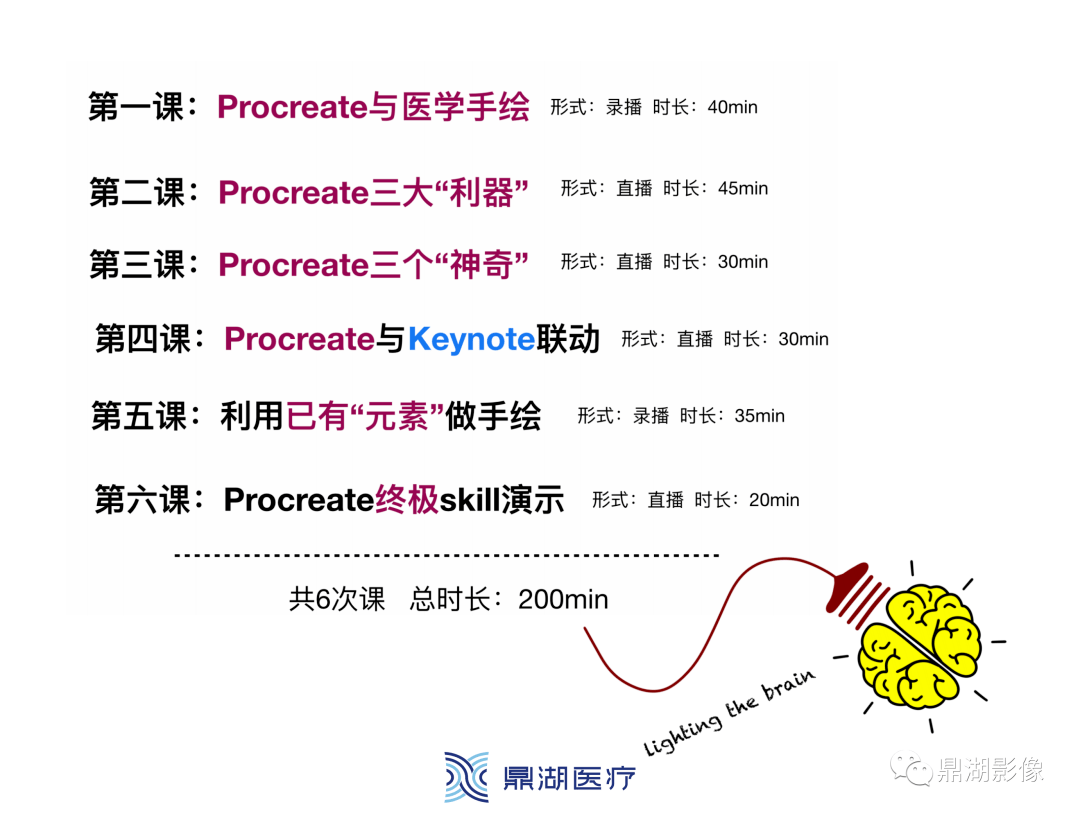 今天我们终于在鼎湖影像平台上独家上线了这门零基础课程,将医学插画