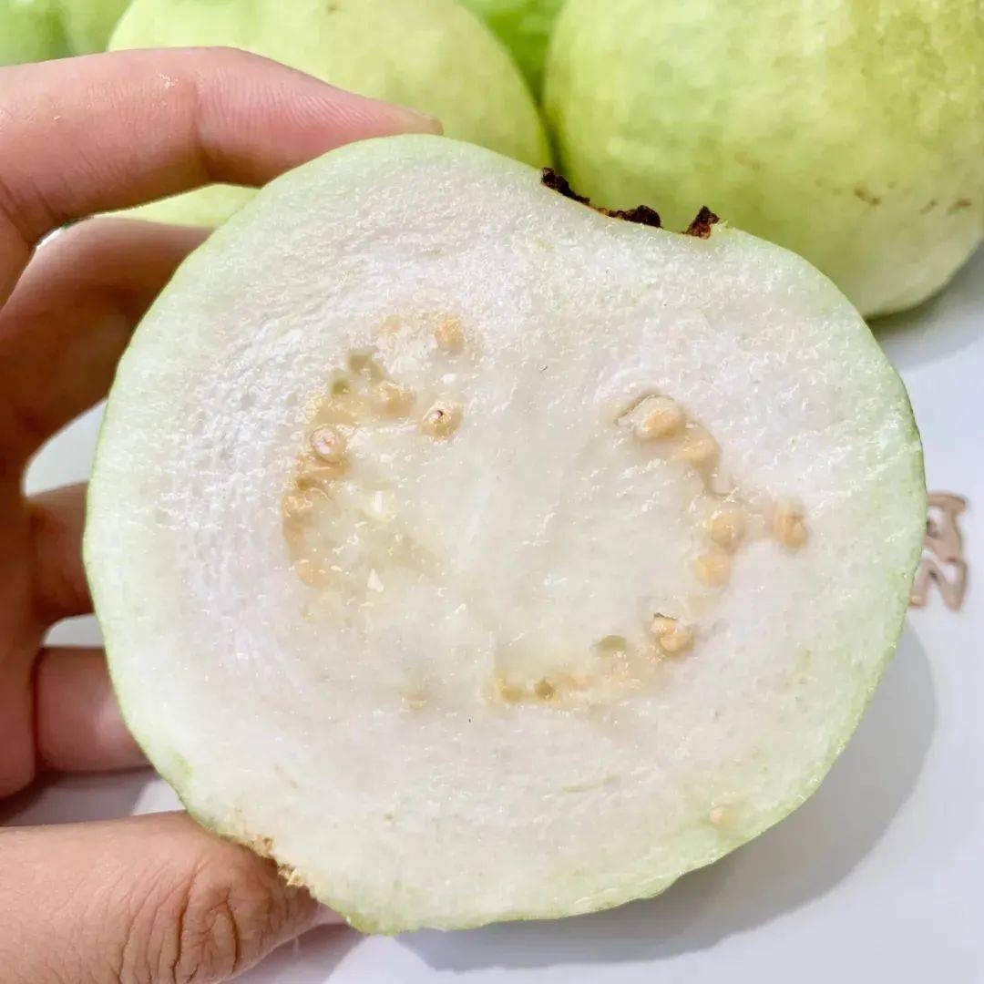 【台湾奶油芭乐】35.8元5斤!水果界的"脂肪杀手",低热量,高vc!