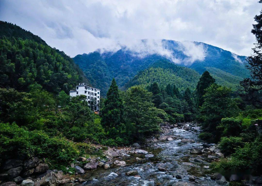 16—7.22_铅山县_武夷山镇_西坑村