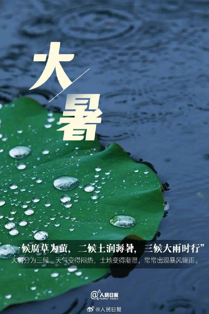 二十四节气 | 今日大暑,夏天最后一个节气_冯方圆_校对_陈世君