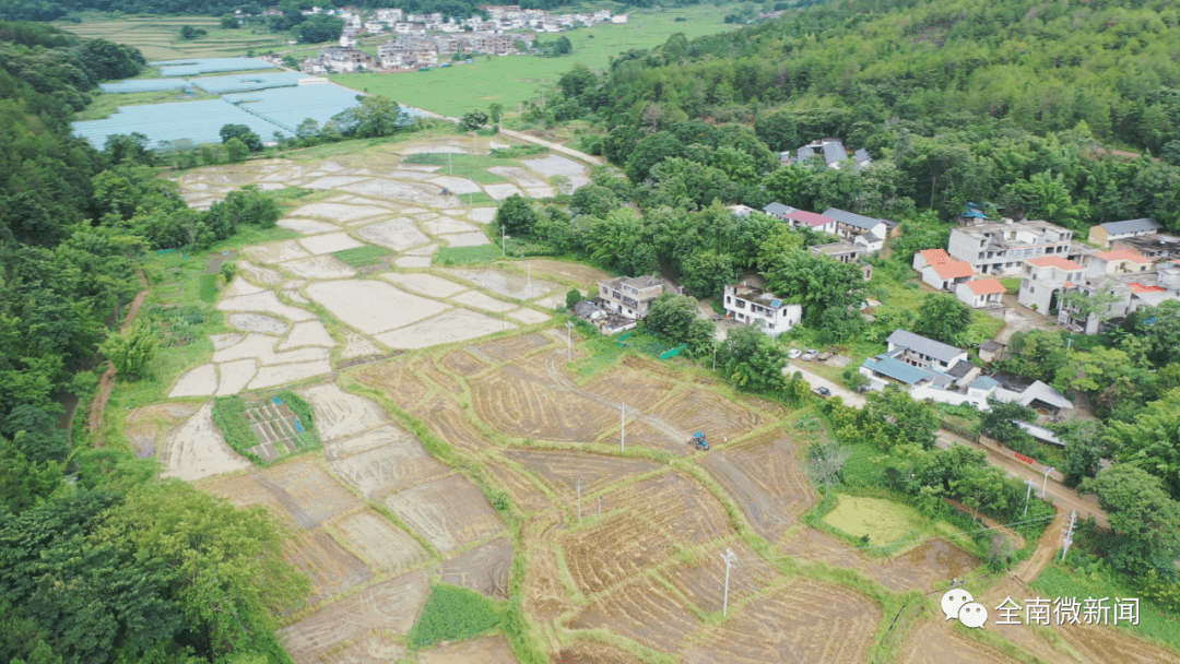 金龙镇:科技奏响农忙"进行曲"_全南县_农业_农机