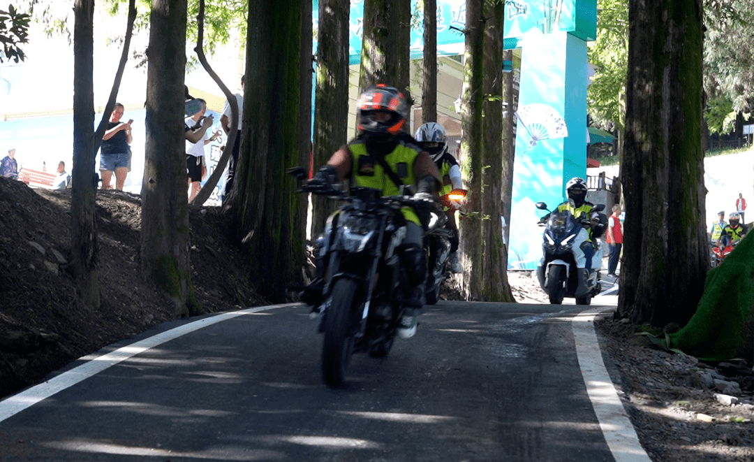 夏季的薤山满目苍翠,森林覆盖率达93.