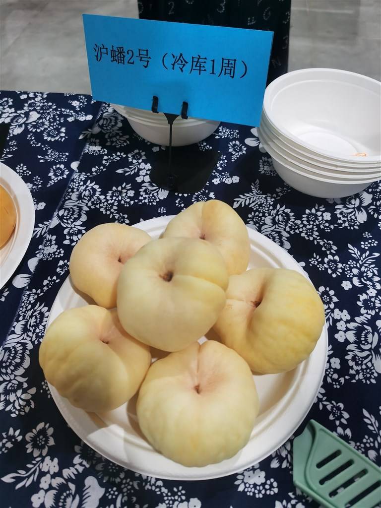 金山举办“蟠桃大会” 这款本土新秀填补暑期空档_产业_品种_上海