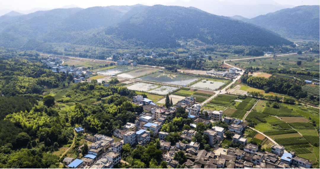 大市村图片