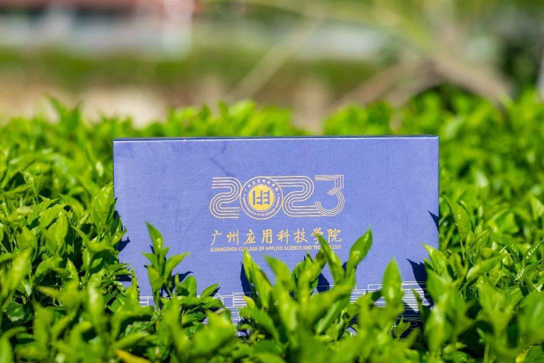 广东白云学院,广州应用科技学院2023年普通专升本录取通知书亮相!