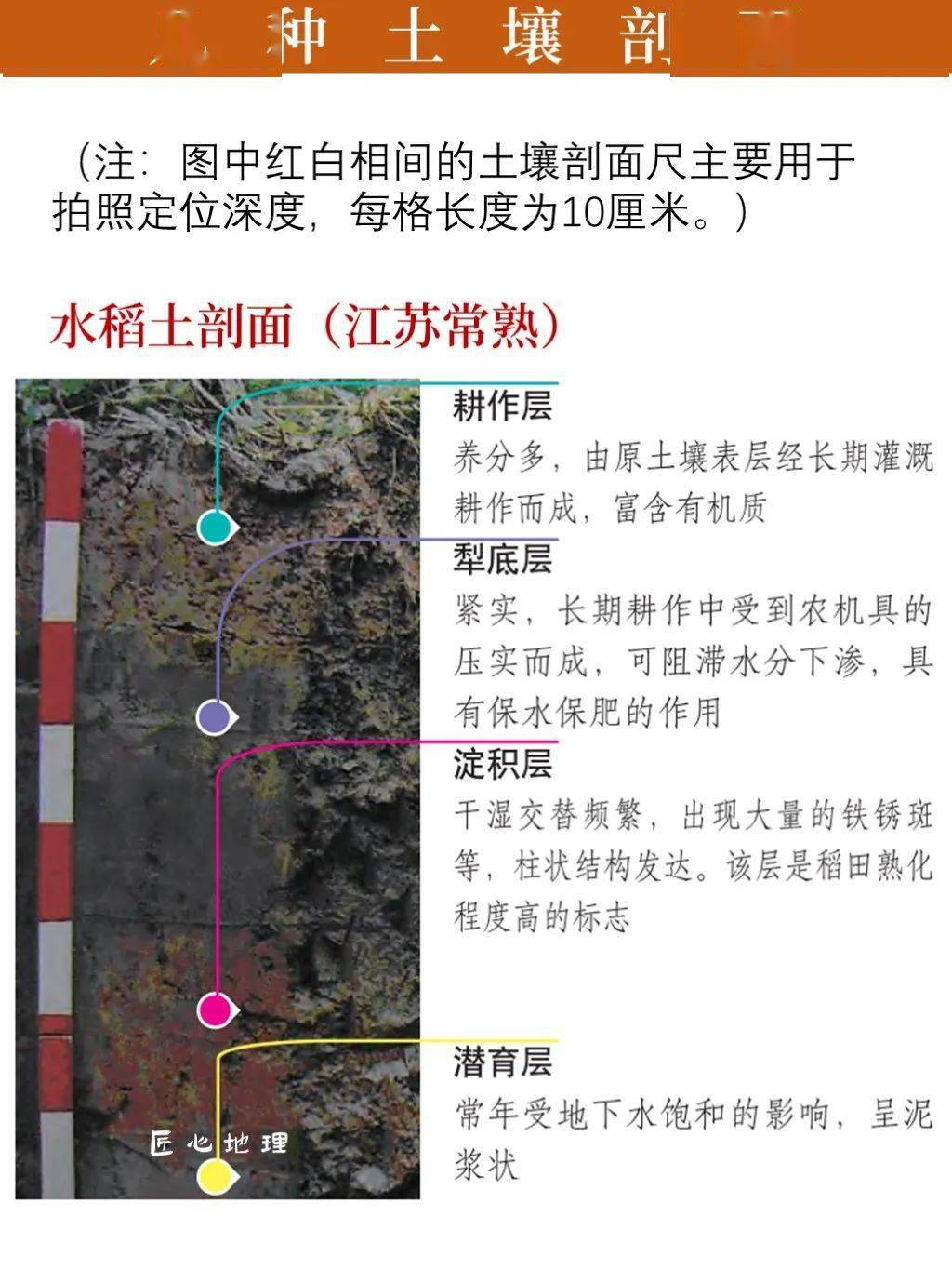 水田土壤剖面分层图片