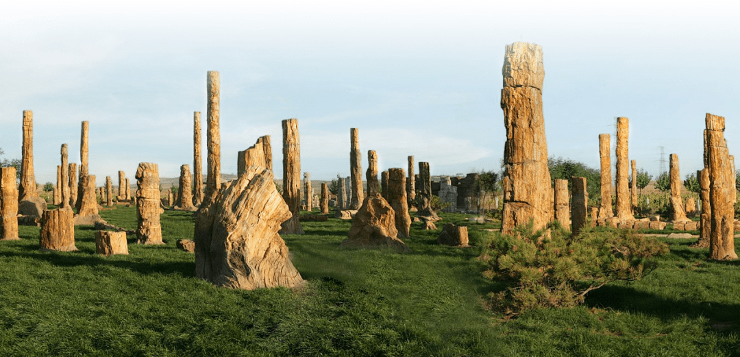 化石:有生命的石头_凌源_朝阳_古生物