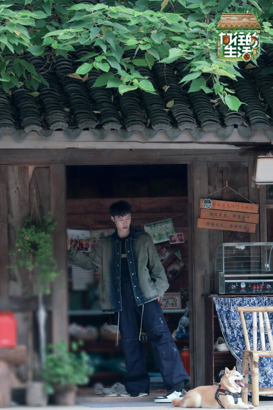 张艺兴彭昱畅张子枫回归,《向往的生活》第七季真要告别了_黄磊_何炅