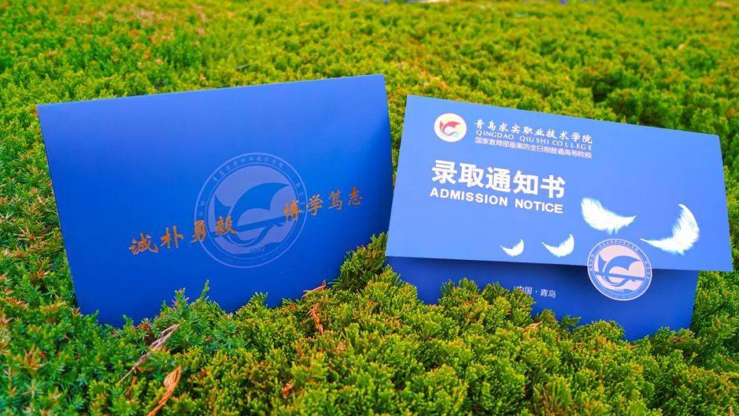 山海_青岛_新生