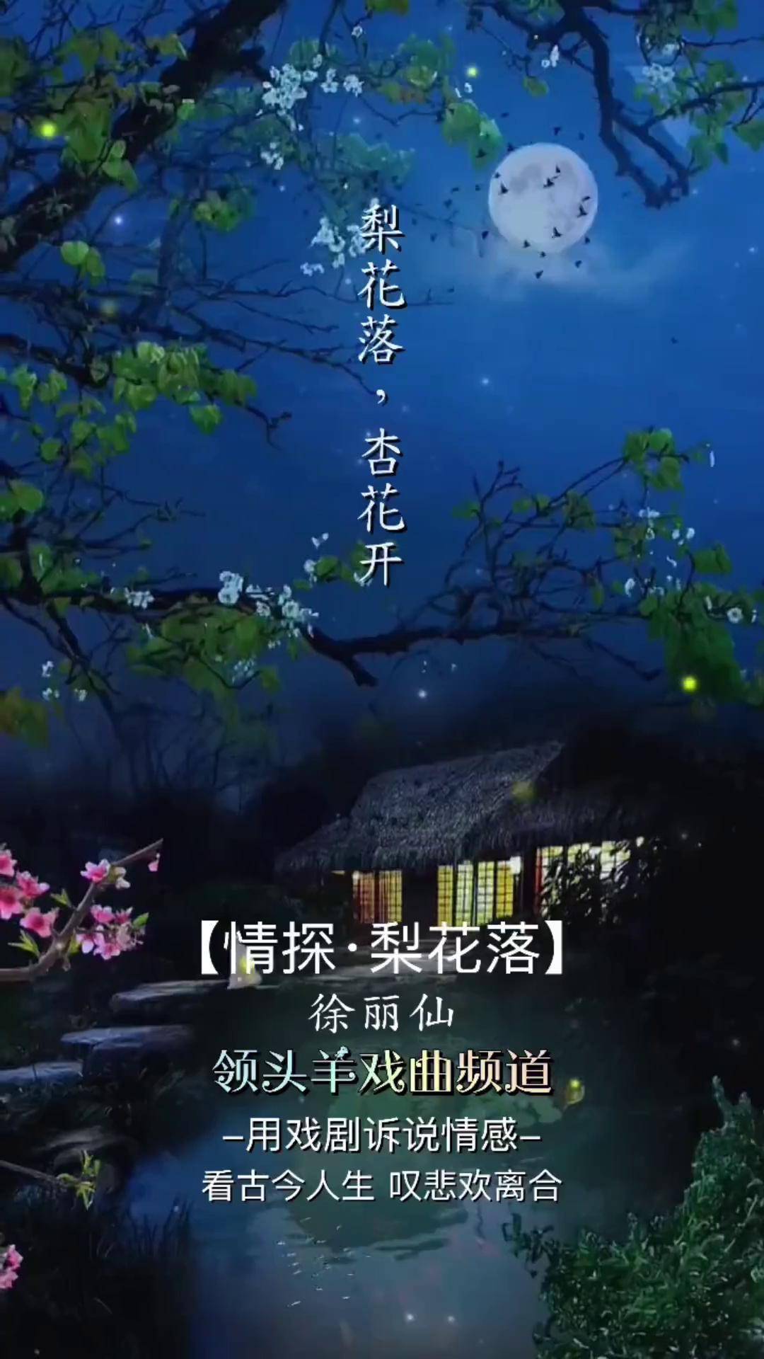 这种韵味一听就会迷,治愈系陶醉,苏州评弹 情探 梨花落 徐丽仙 领头羊