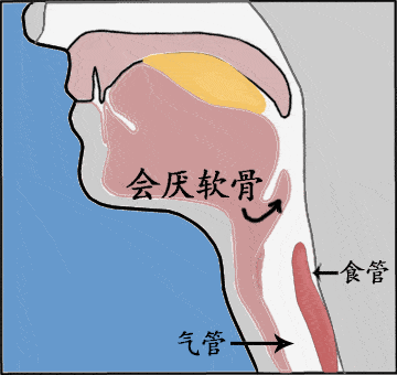 降低留置胃管的不舒适，这几种技巧特别有效~_患者_操作_护理