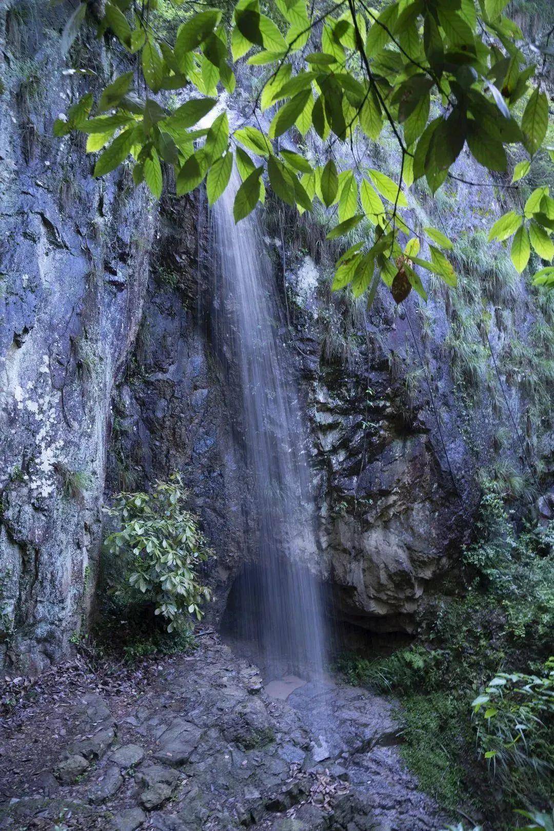 浙江武義小黃山景區內全villa獨棟院落民宿丨自在山谷villa_photo_by