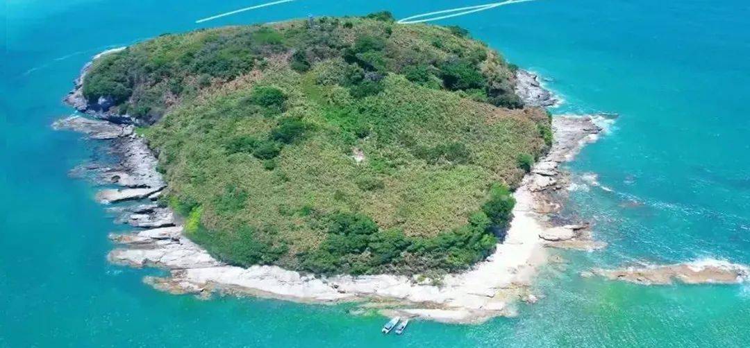 周四成团【秘境浮潜】:东虎岛浮潜赶海 观白鹭/滩涂日落 玩海上桨板