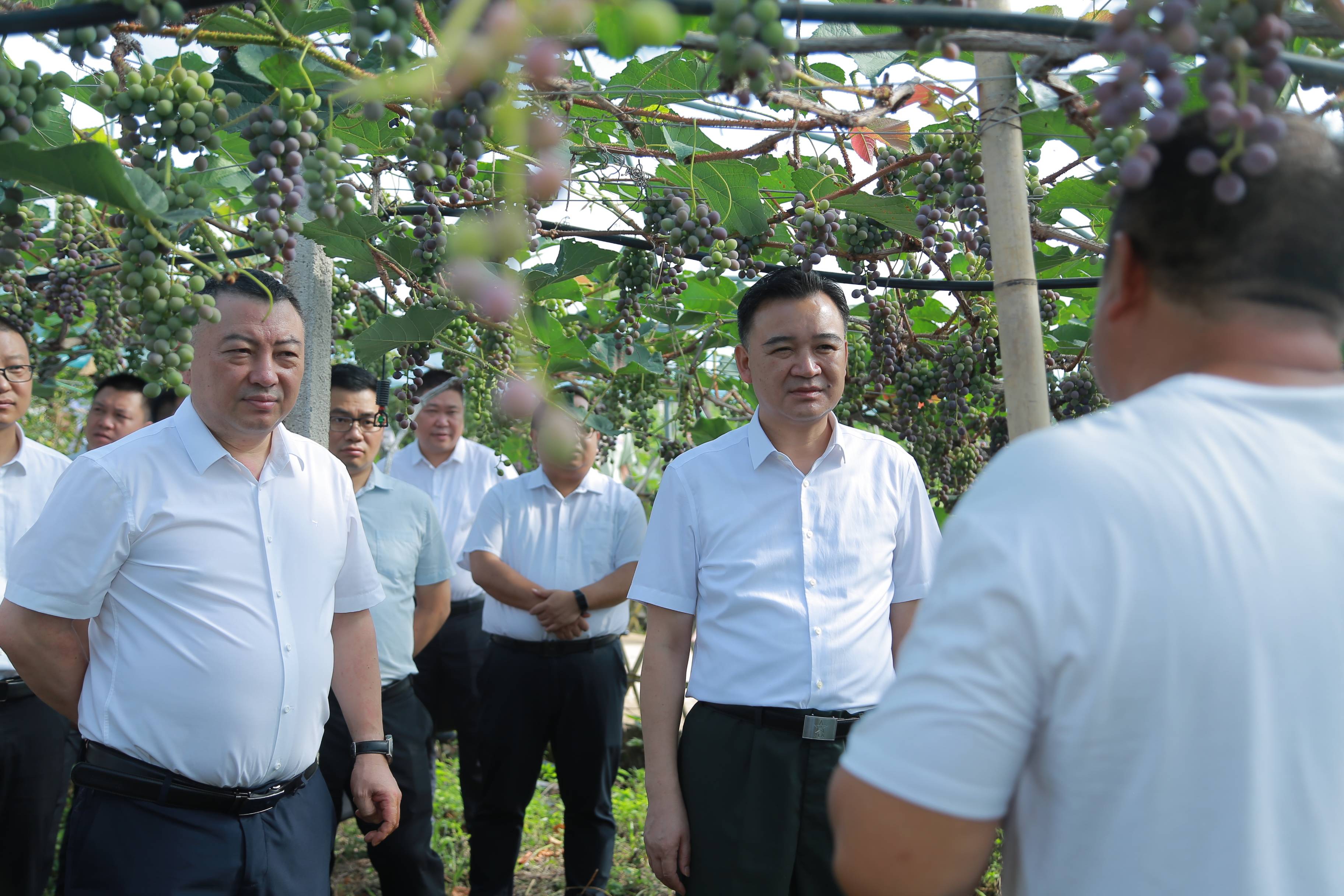 杜杰厅长图片