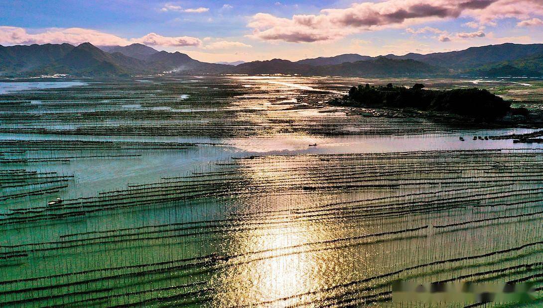 《摄影家天堂》霞浦最美滩涂沙江s湾_竹竿_线条_水道
