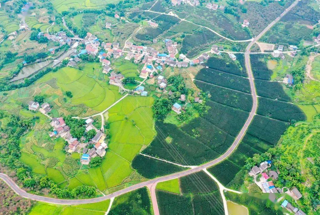 走进华蓥凉水井村,看美丽乡村入画来,奏响"田园新乐章"!