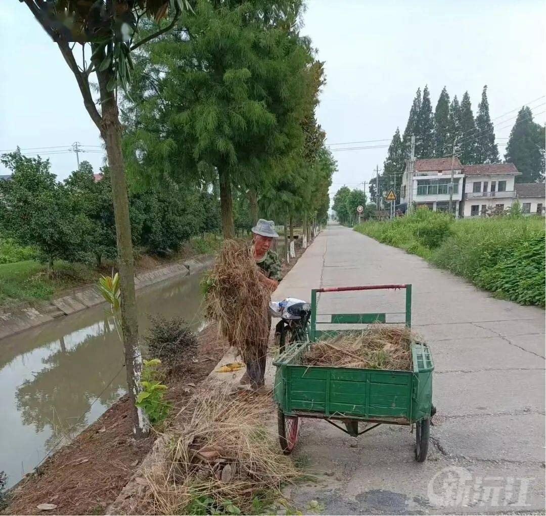 沅江市草尾镇上码头村张学斌谁认识?_村里_民兵_爷爷