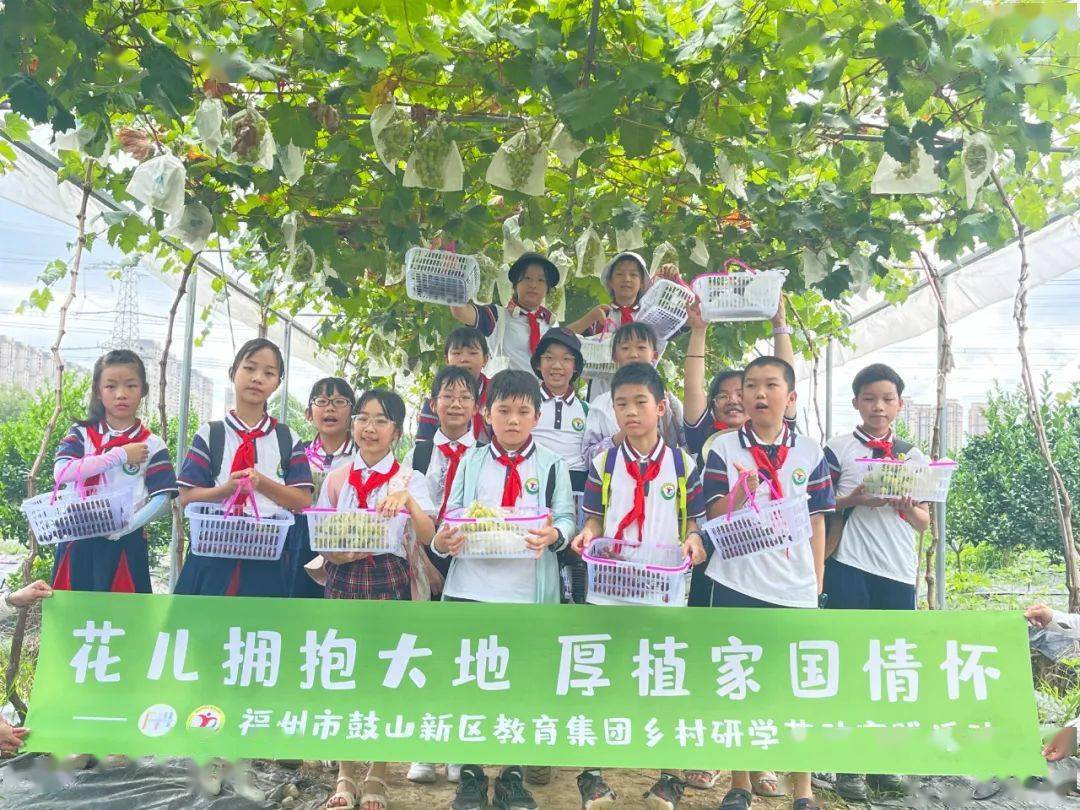 百校结百村|福州市鼓山新区小学:花儿拥抱大地 厚植家国情怀