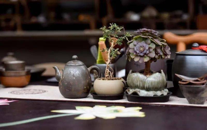 玉溪旅游"一卡通"|到四季农庄,开启田园露营新体验_绿色_生态_澄江