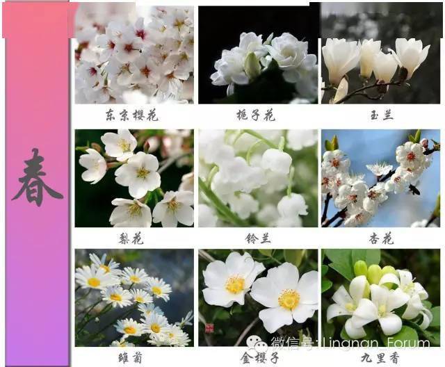 人工7苔7岩7フェイク7苔7石7装飾7フェイク7