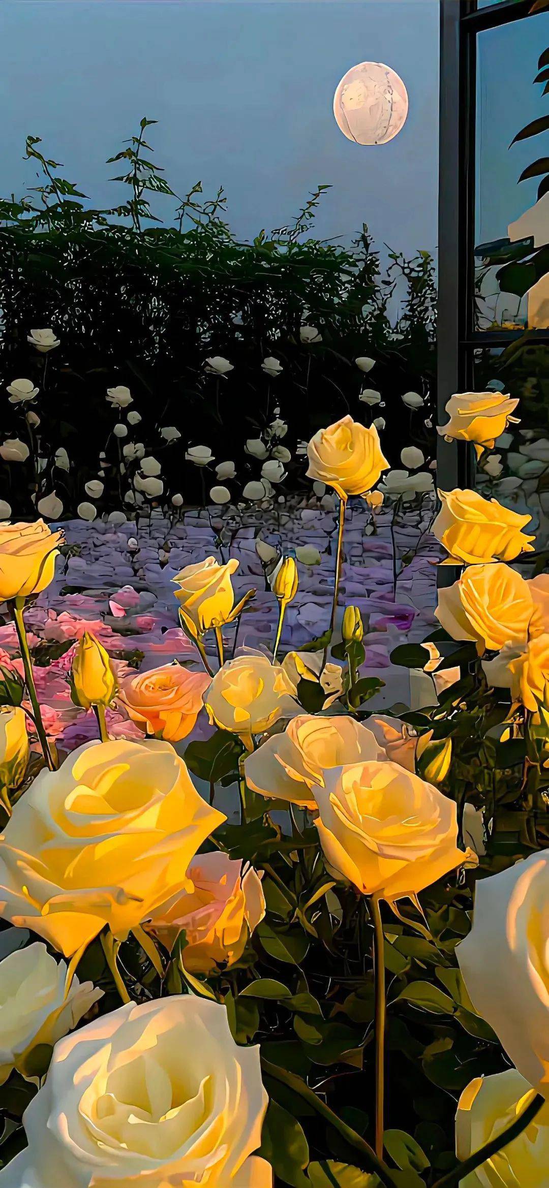 壁纸| 一眼万年的氛围感壁纸_ins_手机_增加了