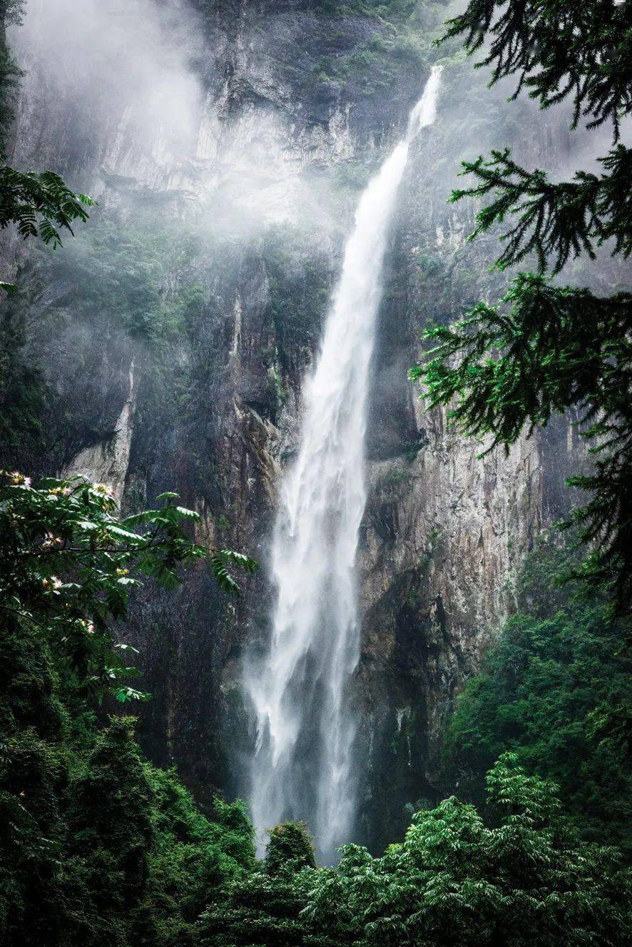 潺潺的流泉,磅礴的瀑布……夏季风光旖旎的神仙居,总该来一趟!